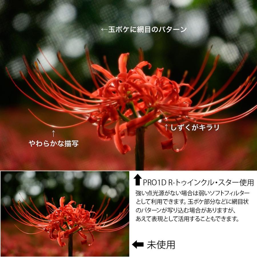 ケンコー・トキナー（KenkoTokina） 【ネコポス配送・送料無料