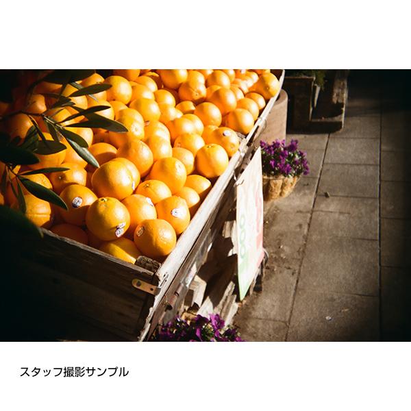 【希少】HOLGA 135TIM イエロー ＋ 専用フラッシュ12S セット HOLGA（ホルガ） ホルガ【HOLGA】フィルムカメラ H-135 BC ビビット