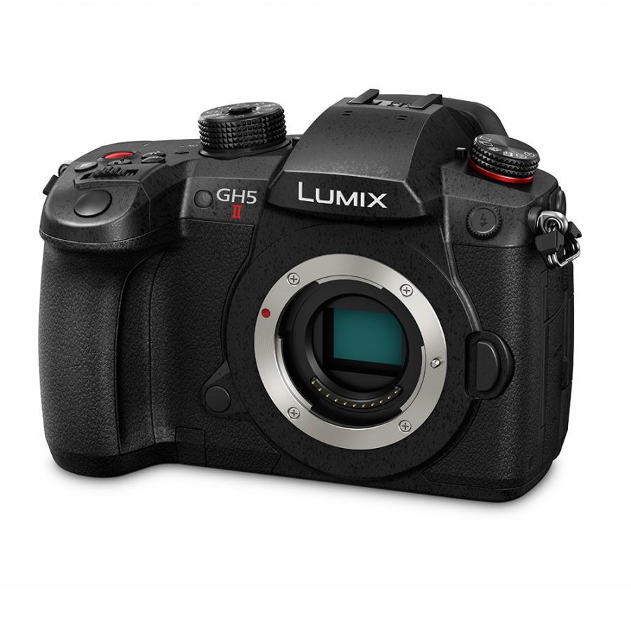 LUMIX 【ハンディファンプレゼント】 パナソニック(Panasonic) LUMIX