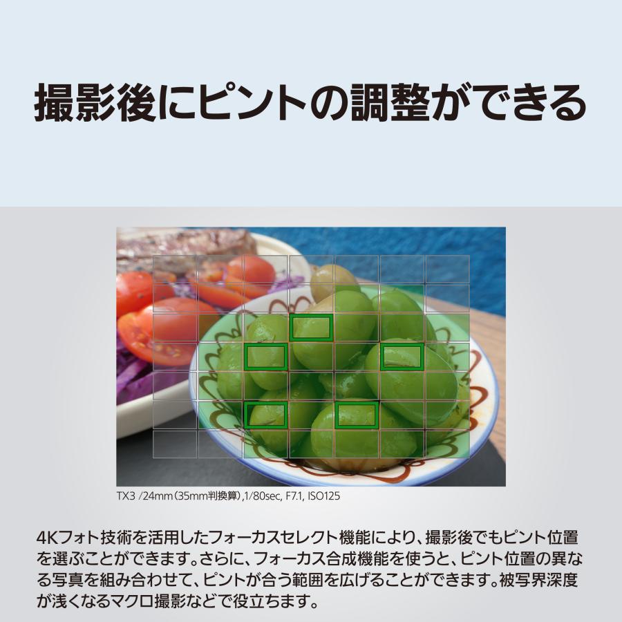 LUMIX 【ハンディファンプレゼント】 パナソニック(Panasonic