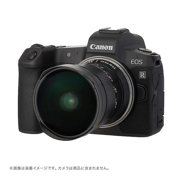 TTArtisan 銘匠光学 (めいしょうこうがく) 11mm f/2.8 Fisheye ニコンZ