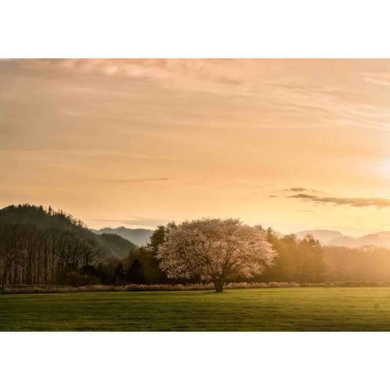 Canon EF55-200mm F4.5-5.6 Ⅱ USM 中望遠レンズ H＆Y H&Yフィルター Revoring ブラックミスト 67-82mm 1/8 RB8