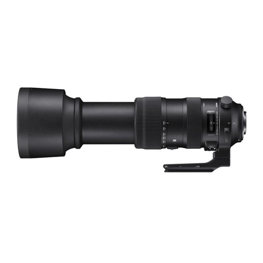 シグマ（SIGMA） 150-600mm F5-6.3 DG OS HSM | Sports(スポーツ