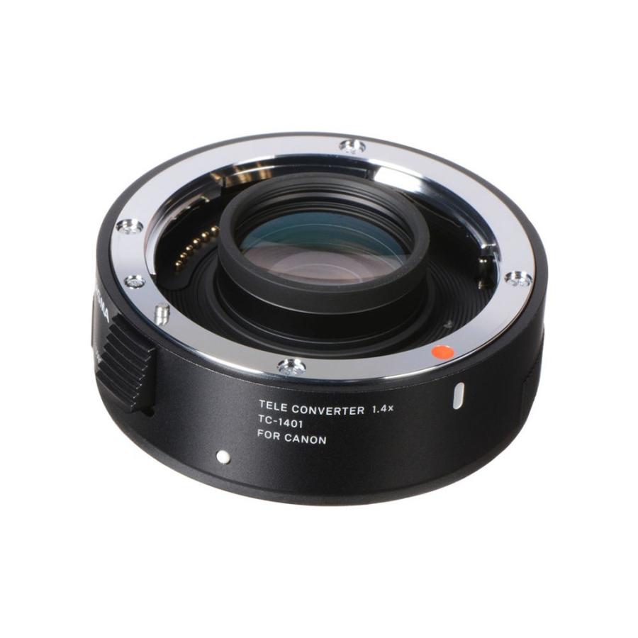 シグマ（SIGMA） 150-600mm F5-6.3 DG OS HSM | Sports(スポーツ