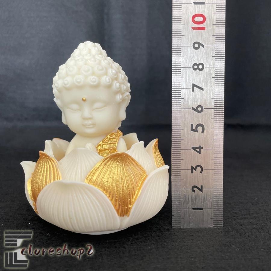 safaristore大仏様 だいぶつさま かわいい 蓮 ハス 象牙椰子