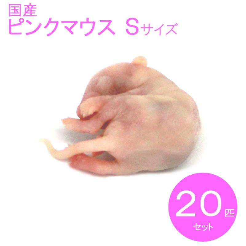 国産冷凍マウス ピンクS 20匹 SAfarm 【冷凍エサ】 : SAfarm Yahoo
