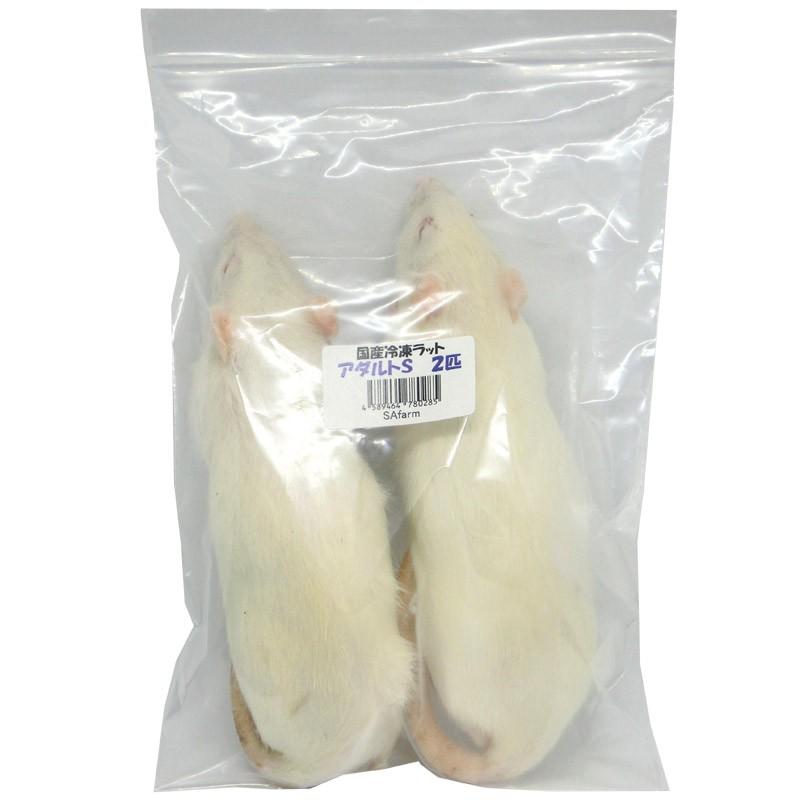 国産冷凍ラット 23g前後 80匹セット Amazon | 国産冷凍ラット (ピンクラット 4~9g 5匹入り) | 冷凍