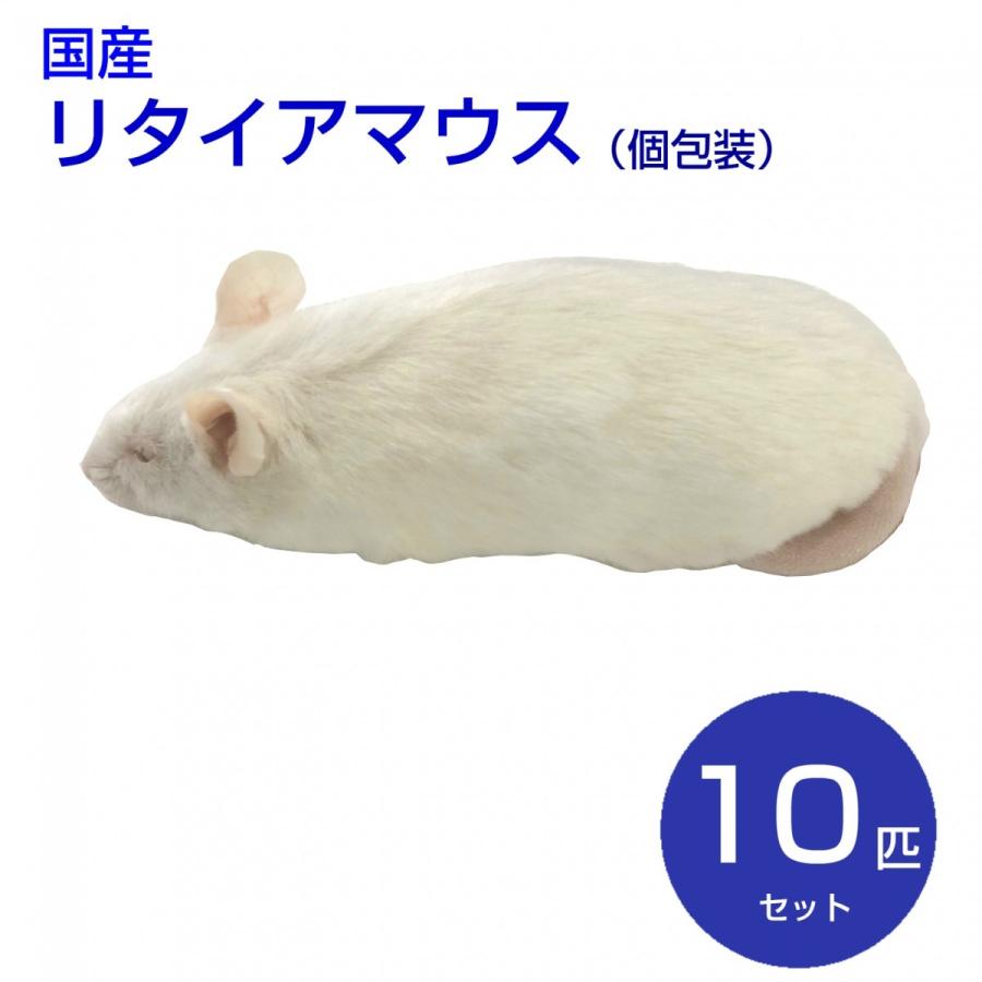 現金特価 国産冷凍マウス リタイア 10匹 Safarm 冷凍エサ 予約販売品