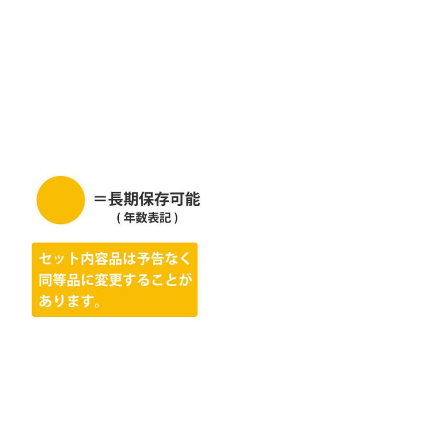 防災グッズ セット 基本BOX2 20点 A4サイズ オフィス 避難時｜safety-japan｜06