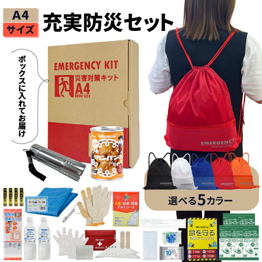 EVERSAFE 非常用持ち出し袋 充実A4防災セット 1人用 防災グッズ