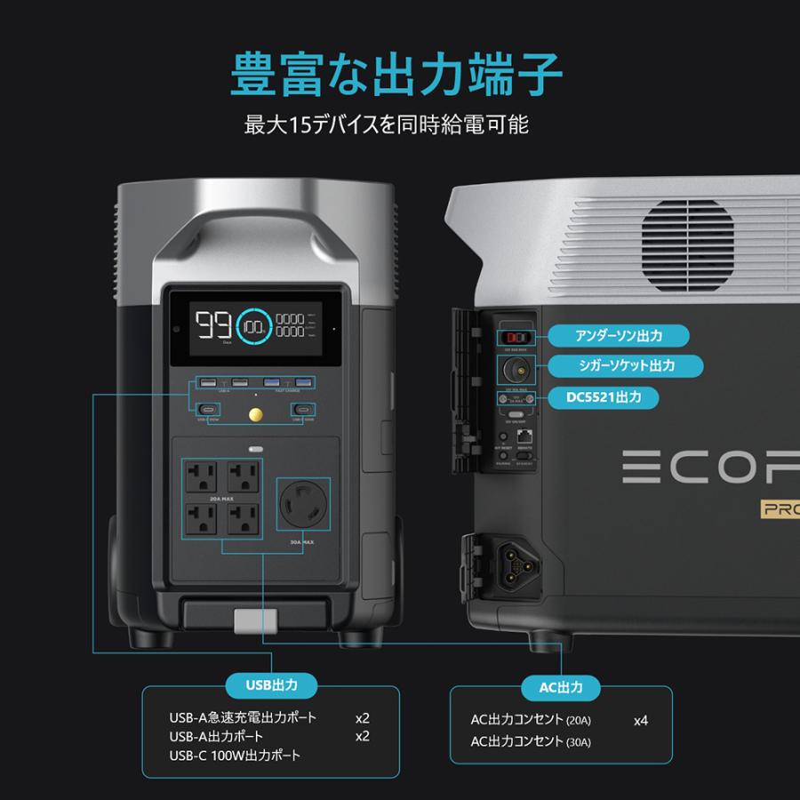 ECOFLOW ポータブル電源 EcoFlow DELTAPro 3600Wh DELTAPro-JP : 防災