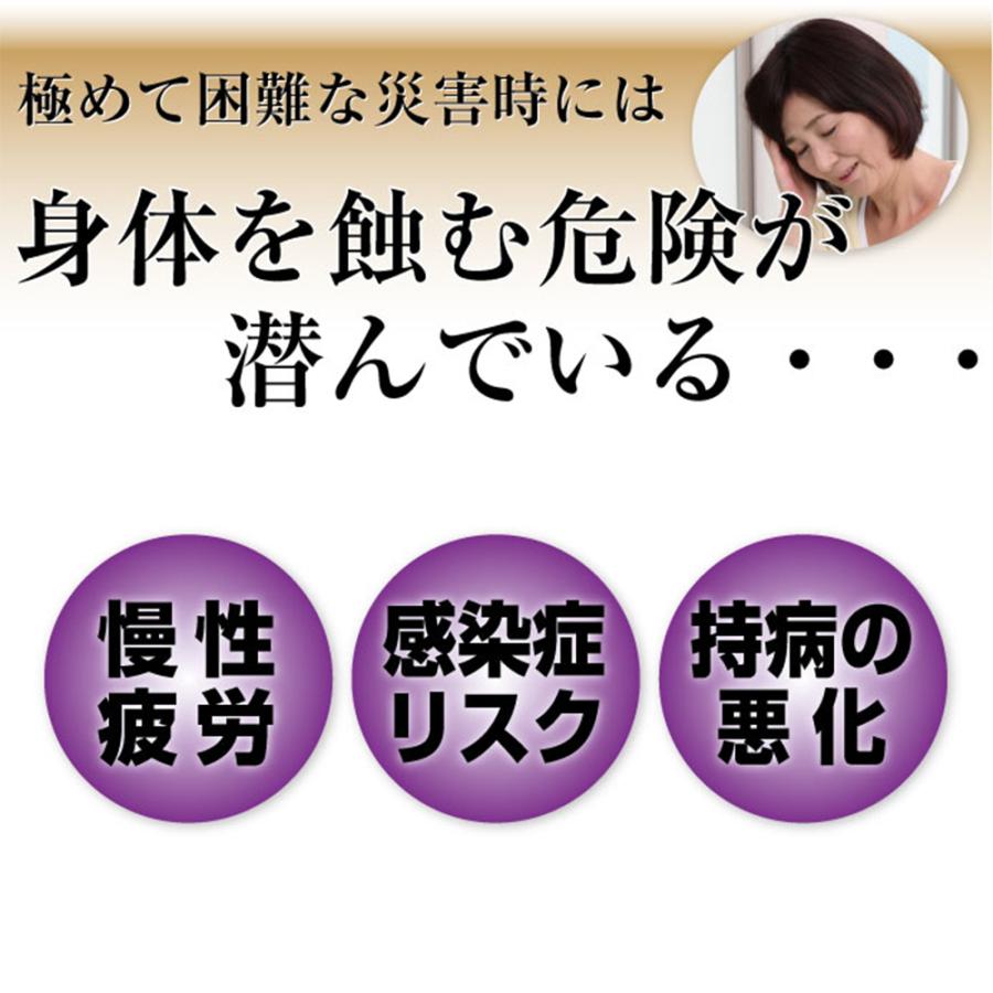 非常食 栄養補給食品 1週間分 7包入5年保存 非常時 メール便6個まで