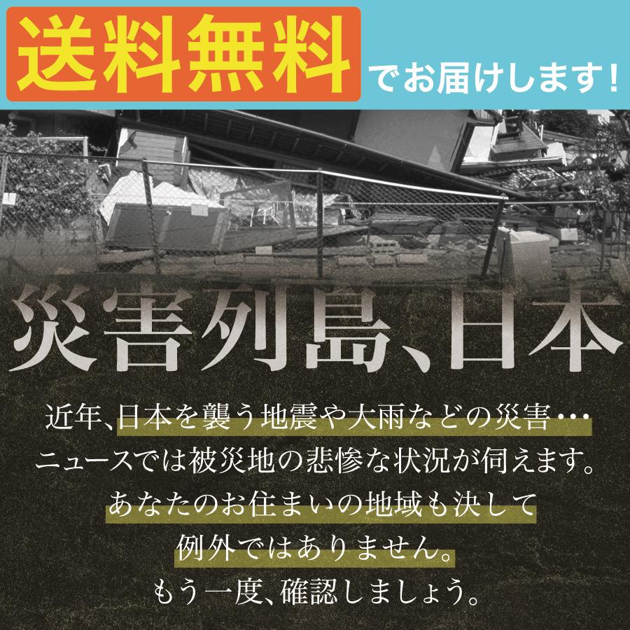 防災セット グッズ 2人用 非常用持ち出し袋 防災リュック 非常食 保存食 防災食 台風 停電対策 避難 防災士監修 スマホ 充電 東日本大震災 | ブランド登録なし | 01