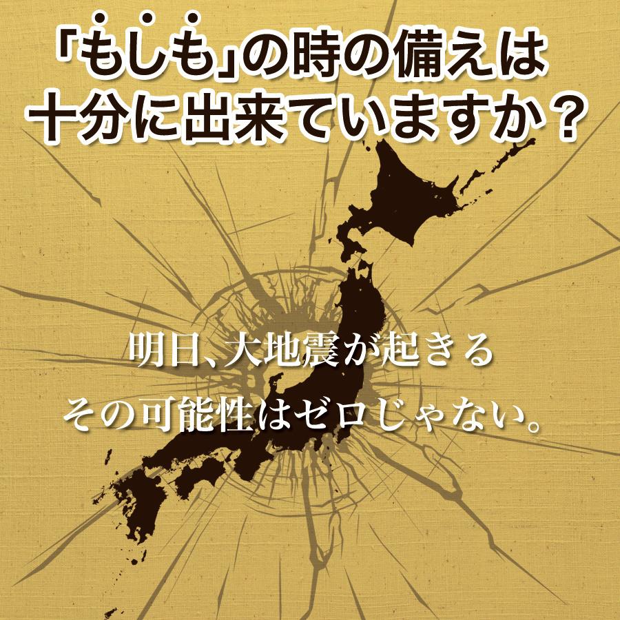 防災セット グッズ 2人用 非常用持ち出し袋 防災リュック 非常食 保存食 防災食 台風 停電対策 避難 防災士監修 スマホ 充電 東日本大震災 | ブランド登録なし | 02