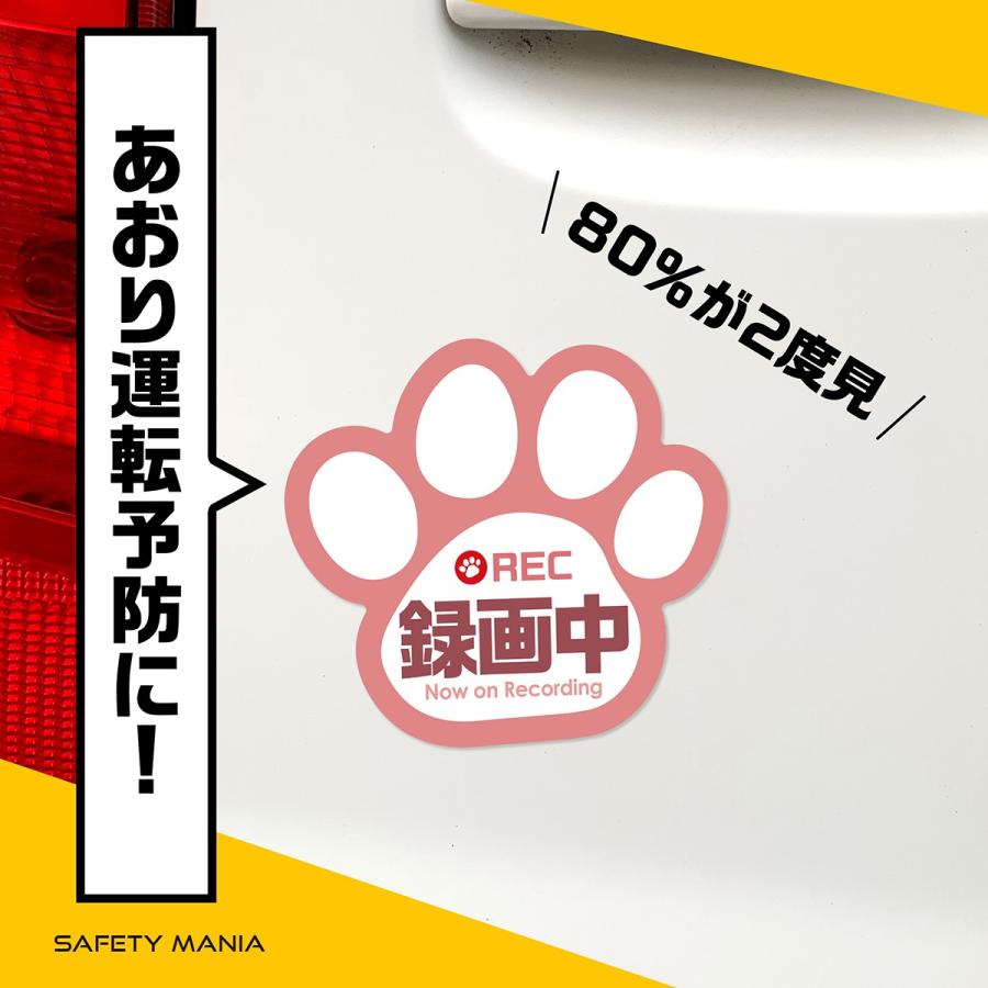 ドラレコ 録画中 ステッカー 肉球 シール ピンク 選べる3色 車 あおり