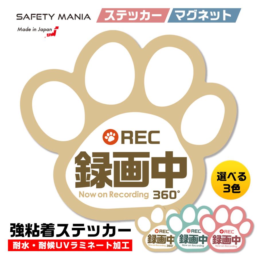 ドラレコ 録画中 ステッカー 肉球 シール ベージュ 選べる3色 車