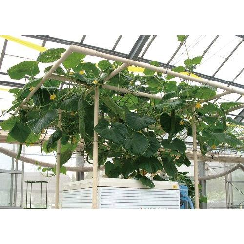 お買い得！ 協和ハイポニカ 家庭用水耕栽培装置 ホームハイポニカ MJA083 303 【7736521028】(27910円)