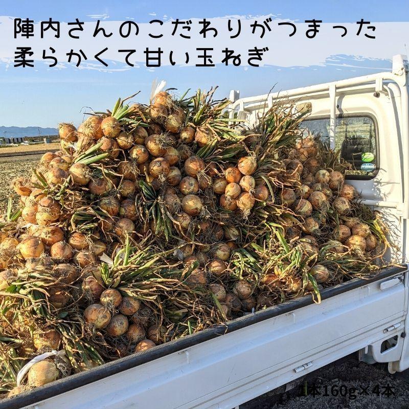 直送】白石町産 玉葱農家のこだわり早生玉ねぎ 10kg 杵島・陣内 : SAGA