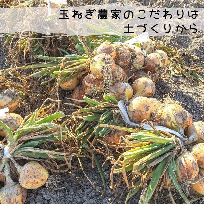 玉葱農家 陣内ちひろ 白石町産 早生玉ねぎ 10kg ※サイズ・個数おまかせ 九州 佐賀 お取り寄せ 産地限定｜sagamarche｜03