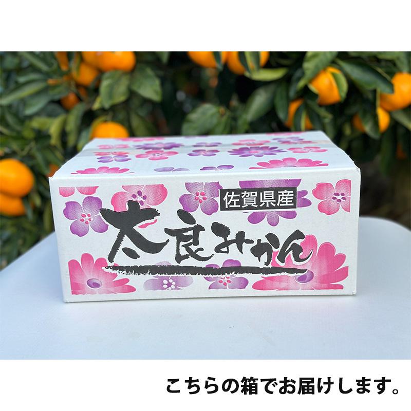 早熟みかん 5kg（S~2L混合） 極早生 太良・山本農園 太良みかん : SAGA