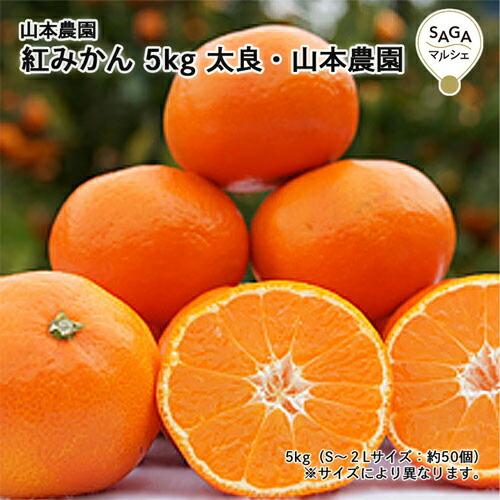 紅みかん 5kg 太良・山本農園 太良みかん 九州 佐賀 お取り寄せ