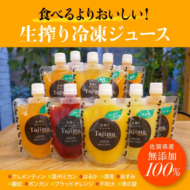 田島柑橘園の搾りたて冷凍ジュース おまかせ10種 化粧箱入り 太良