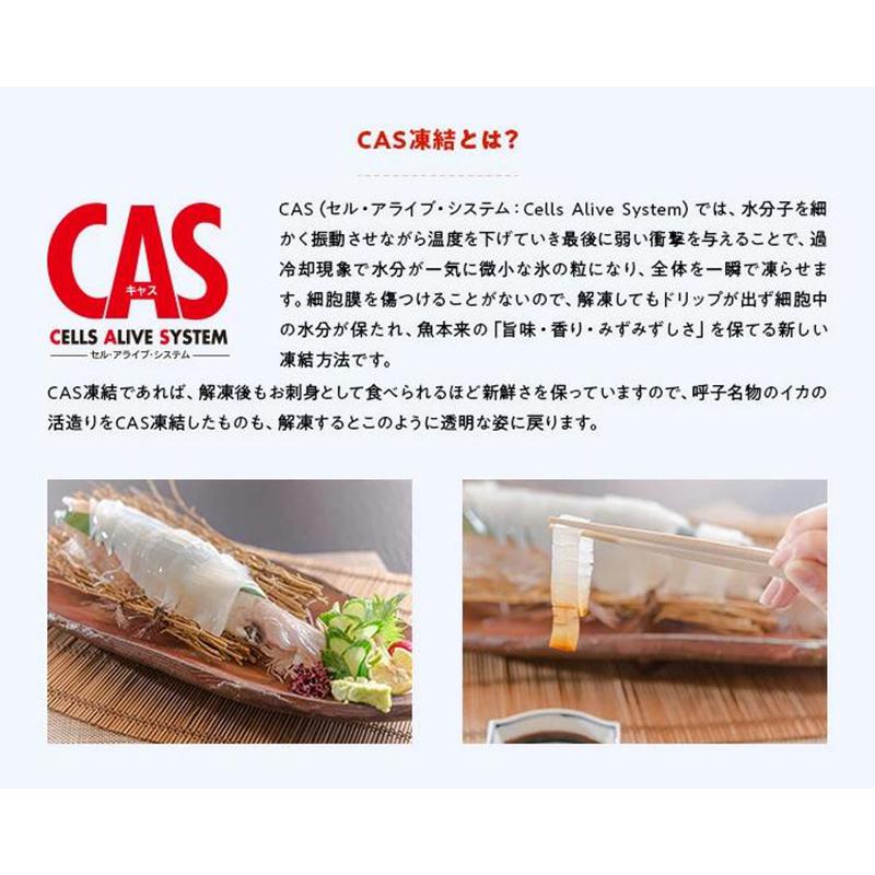 剣先イカ 約1ｇ 5p 佐賀 呼子 剣先 イカ刺し 姿造り 新鮮 Cas凍結 呼子直送 いか イカ 刺身 お取り寄せグルメ 贈り物 ギフト 九州 Sagaマルシェyahoo ショップ 通販 Yahoo ショッピング