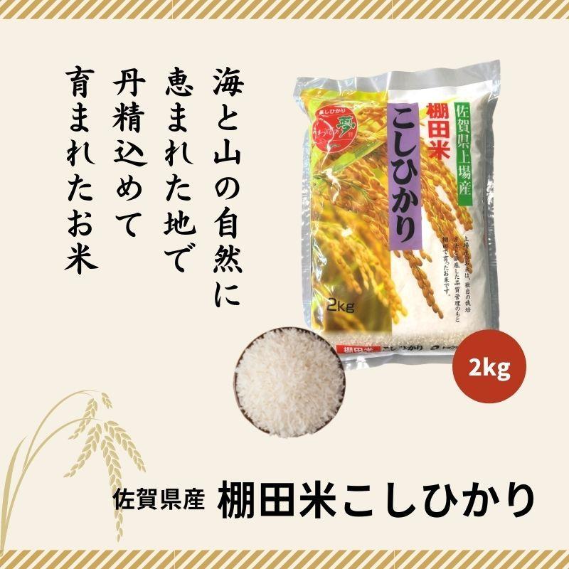 さがびより お米マイスター厳選 佐賀米5選 2kg×5種 上場こしひかり 夢