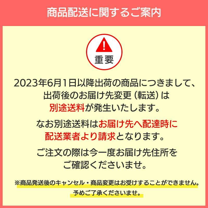 呼子剣先イカ姿造り　約120g×2Ｐ　呼子・CASセンター 佐賀　九州　ケンサキイカ　夏イカ　刺身　お取り寄せ　グルメ｜sagamarche｜09