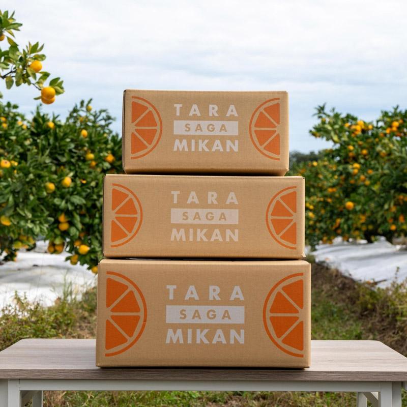 温州みかん箱込3kg 中尾農園 : SAGAマルシェYahoo!ショップ - 通販