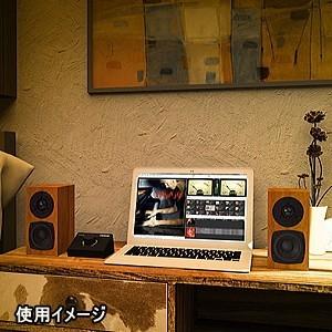 FOSTEX P802-S (2台1組) フォステクス スピーカーシステム FOSTEX P802-S (2台1組) フォステクス スピーカーシステム