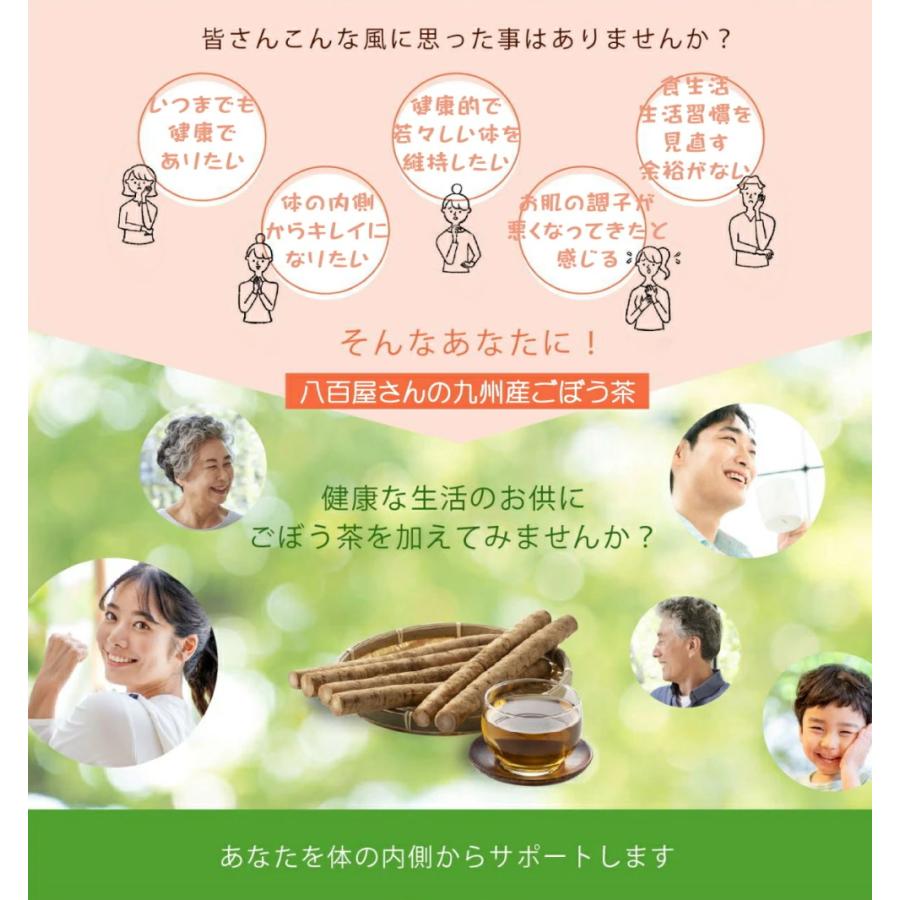 機能性表示食品 ごぼう茶 国産 2.5g×30包+20包増量中×2袋セット 水出し 食後の血糖値の上昇を抑える ノンカフェイン ゴボウ茶 国産  健康茶さがん農園 | 河村農園 | 09