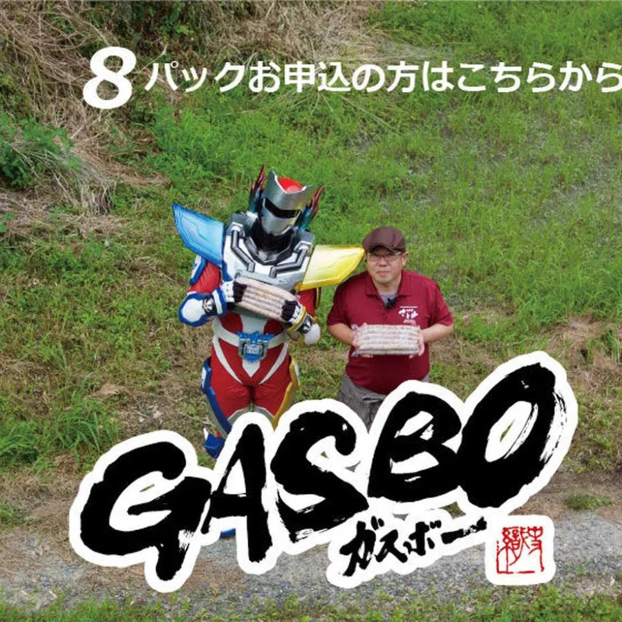 超ロング粗挽きウインナー “ガスボー” １本 100g ×１０本《まとめ買い》