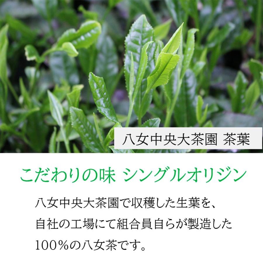 八女茶】八女産 限定品種 さえみどり 煎茶〈雅：Miyabi〉50gまたは100g