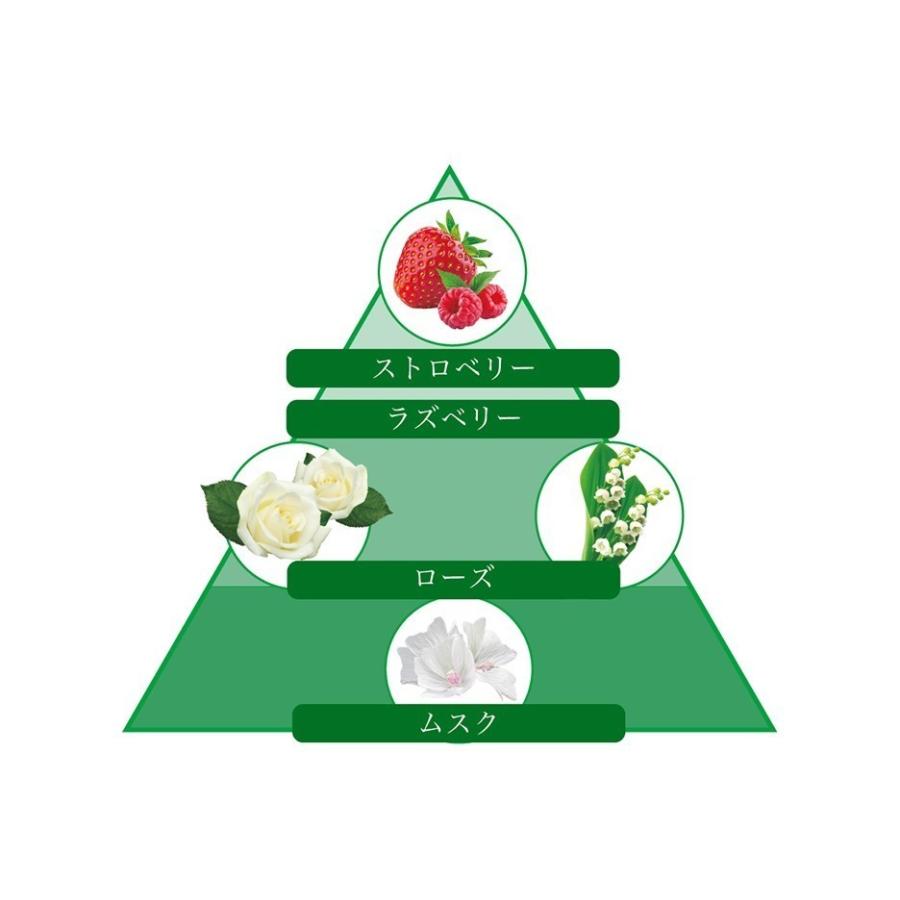 ウェットスーツシャンプー 10%OFF ジェラルド アロマウェット ボタニカルクリア 洗浄力重視 OA-0115 洗浄+柔軟+消臭 |  | 01