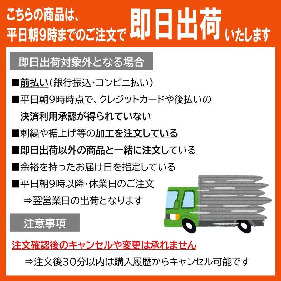 【即日出荷】10265 A.S.S.半袖ワークジャケット アイズフロンティア 空調ウェア 春夏 2026年新商品 ミドルバックファン 保冷剤対応 フルハーネス対応の画像
