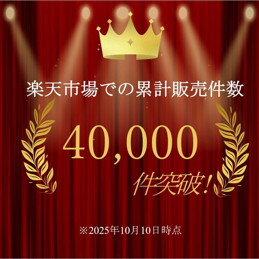 【即日出荷】10265 A.S.S.半袖ワークジャケット アイズフロンティア 空調ウェア 春夏 2026年新商品 ミドルバックファン 保冷剤対応 フルハーネス対応の画像