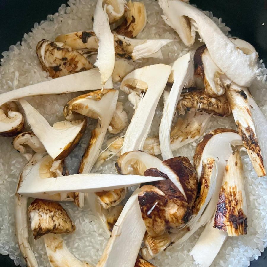 生鮮松茸 【中つぼみ】1kg 2026 中国産 秋の味覚 生松茸 贈り物