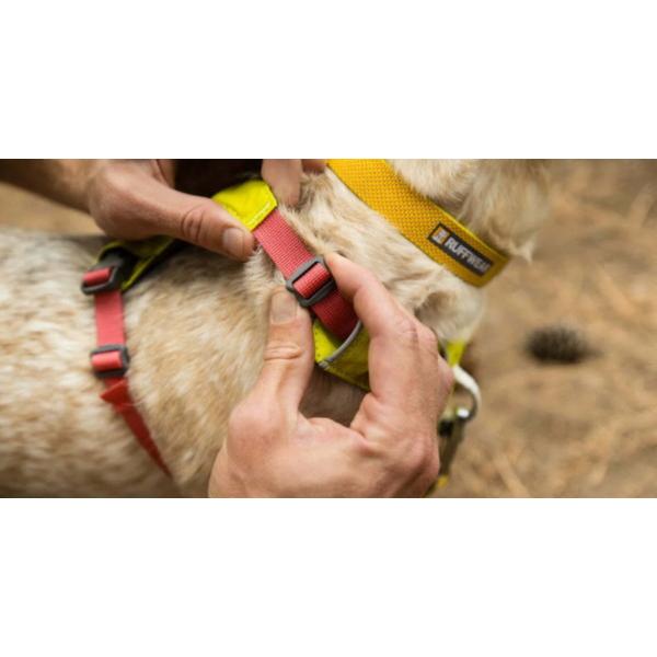 Ruffwear ラフウェア ハイ&ライトハーネス M RUFFWEAR（ラフウェア）ハイ＆ライトハーネス : ドッググッズ