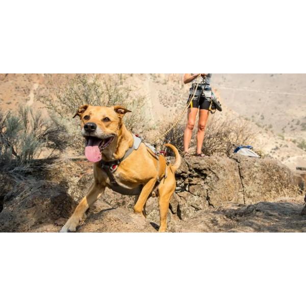 RUFFWEAR（ラフウェア） ダブルバックハーネス : 1173 : ドッググッズ 