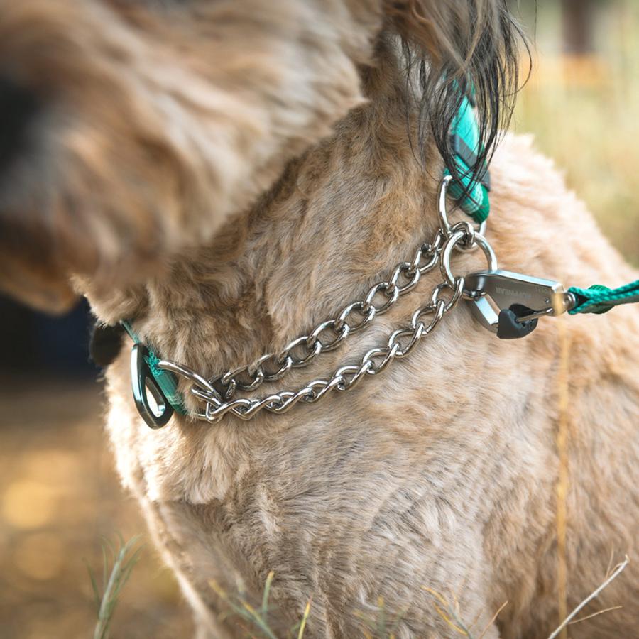 RUFFWEAR（ラフウェア）New チェーンリアクションカラー : ドッグ