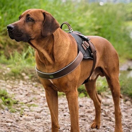 Hunter ハンター ネオプレン エキスパート ハーネス S Pi7fp8w9tq ドッググッズショップ Vivi 通販 Yahoo ショッピング