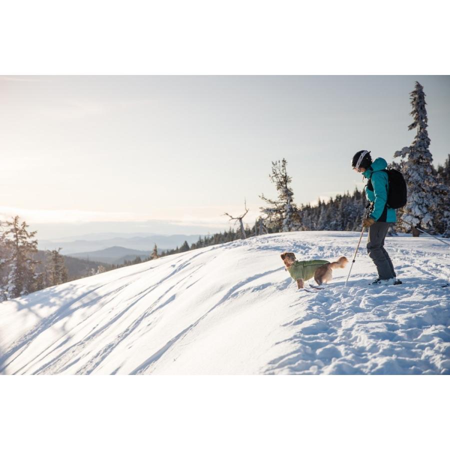 RUFFWEAR（ラフウェア）パウダーハウンドジャケット New : ドッグ
