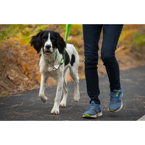 RUFFWEAR（ラフウェア）チェーンリアクションカラー : ドッググッズ