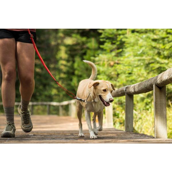 RUFFWEAR（ラフウェア）チェーンリアクションカラー : ドッググッズ