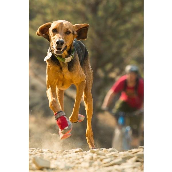 Y-RO419 犬用ブーツRUFFWEAR GRIP TREX青4足セット RUFFWEAR（ラフウェア）グリップトレックス（4足セット