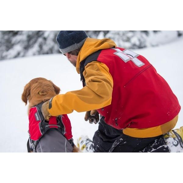 RUFFWEAR（ラフウェア） ウェッブマスタープロハーネス : ドッググッズ