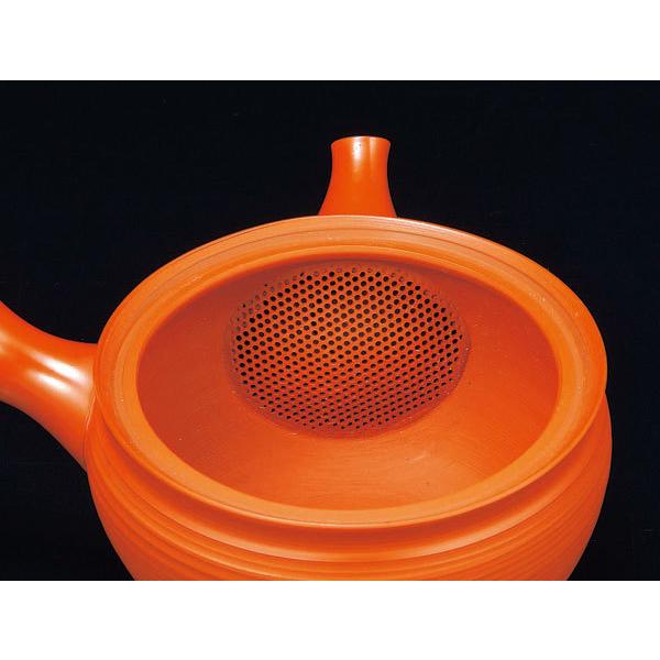 常滑焼 都築青峰作 焼き締め 秋桜 急須 ささめ 270cc Y9| 送料無料