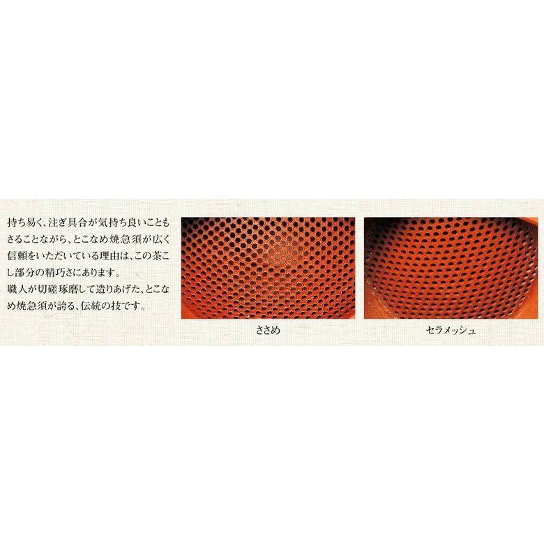 常滑焼 都築青峰作 焼き締め 秋桜 急須 ささめ 270cc Y9| 送料無料