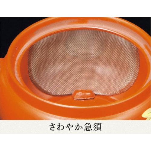 急須 きゅうす 常滑焼 深蒸し急須 270cc さわやか Y909| おしゃれ 深